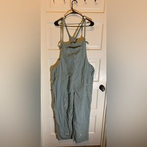 Aerie overalls